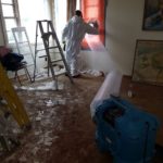 mold removal worker