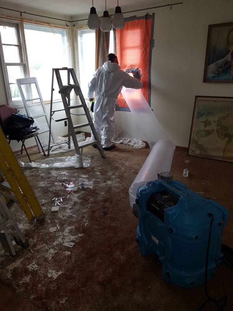 mold removal worker