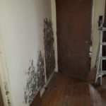 black mold on wall