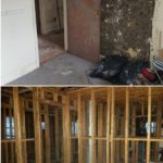 mold removal