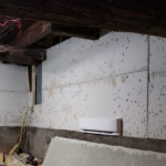 mold on basement wall