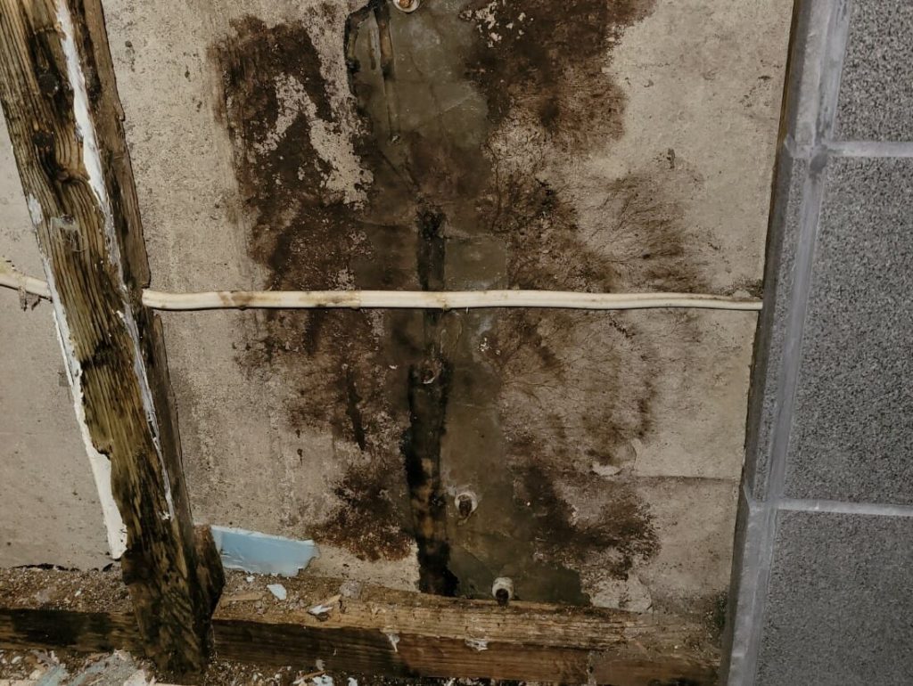 black mold on concrete wall