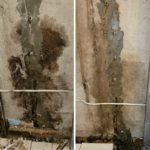 black mold on concrete wall before and after