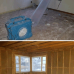 mold removal before and after