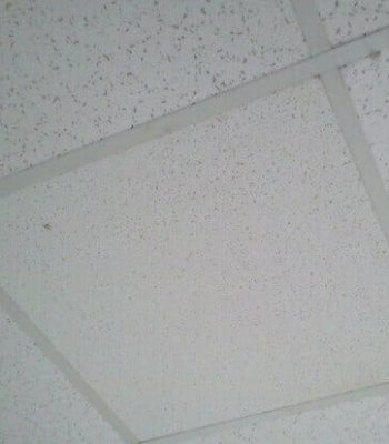 Dalle-plafond-suspendu.jpg