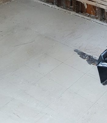 asbestos floor tile