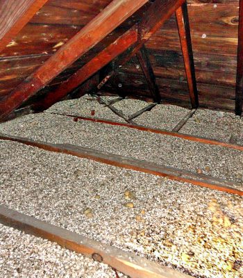 vermiculite-in-a-attic.jpg