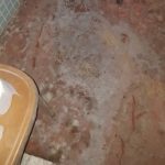 Moisissure blanche sur un plancher de salle de bain
